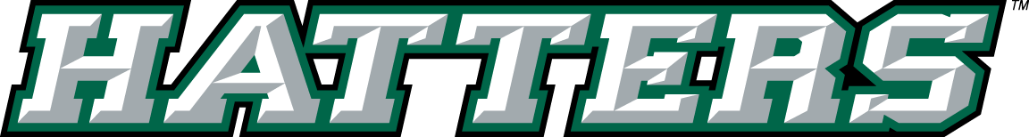 Stetson Hatters 2008-2017 Wordmark Logo v2 diy DTF decal sticker